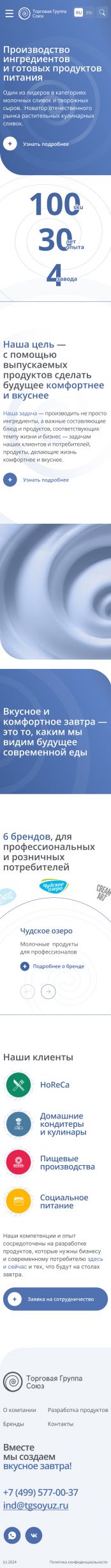 Создание сайта для Торговой Группы Союз на смартфоне