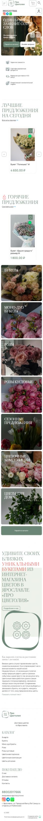 Создание сайта для «Про Цветолия» на смартфоне